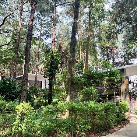 Hilltop Dai Lai H230 Villa 하노이 외부 사진
