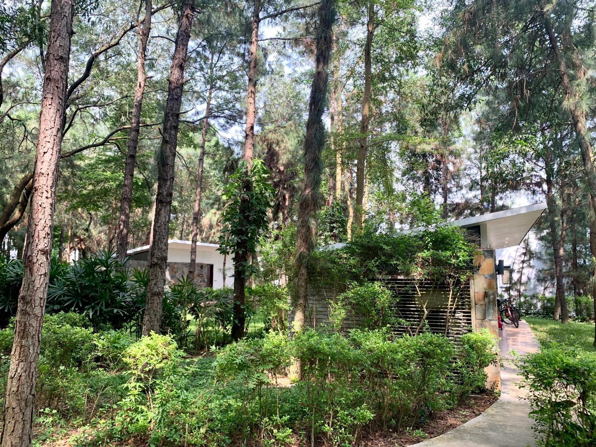 Hilltop Dai Lai H230 Villa 하노이 외부 사진